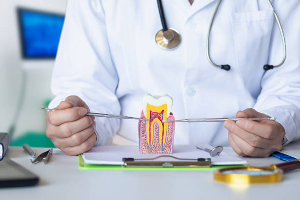 Best Pediatric Emergency Dentist in New Boston, TX